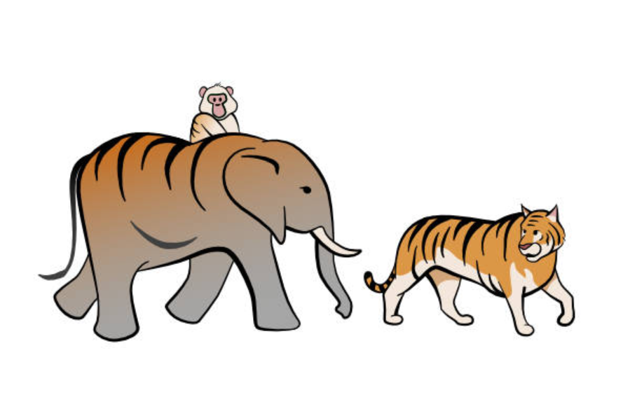 The Flying Elephant Memoirs of an Olympic Champion Kindle Edition