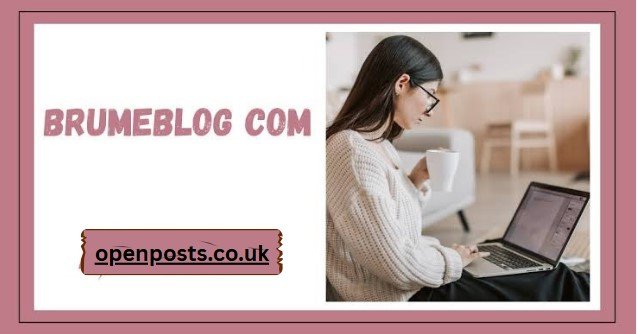 Brumeblog com Review: What Readers Should Know brumeblog com